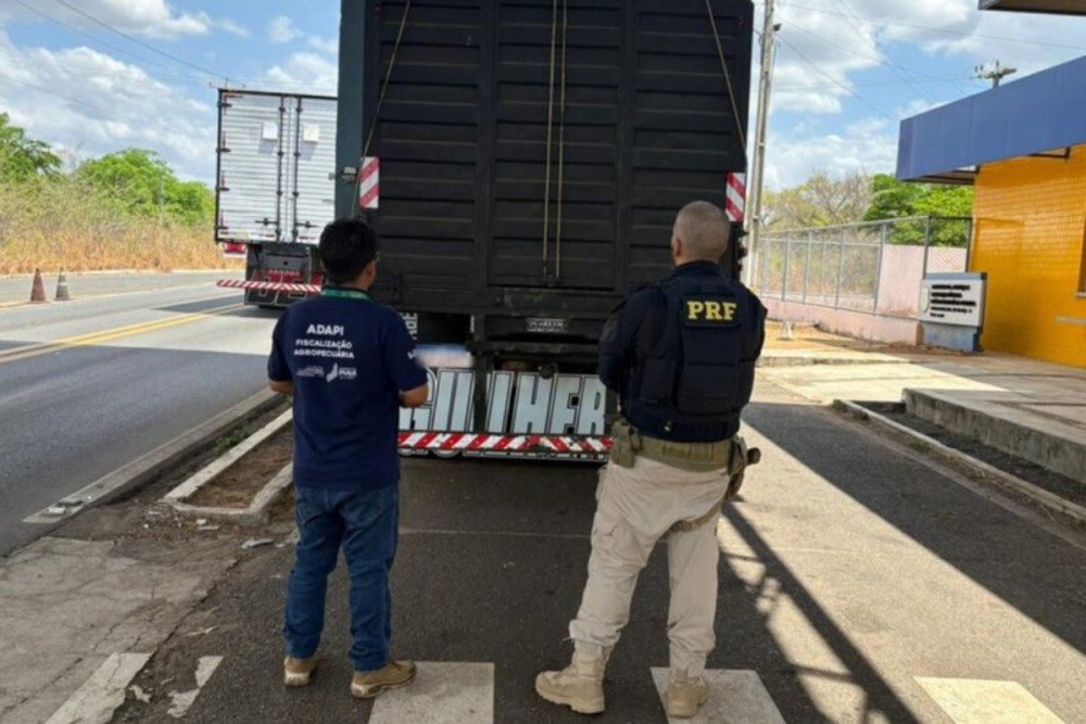 Crédito da imagem: divulgação/PRF