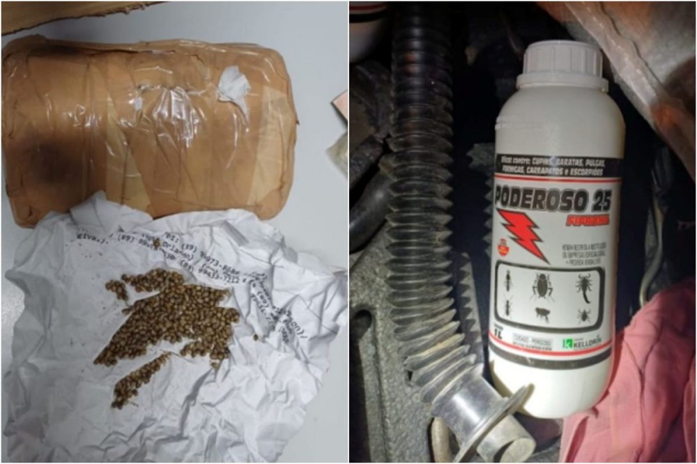 Material utilizado para o plantio de maconha | Foto: Reprodução/ PRF