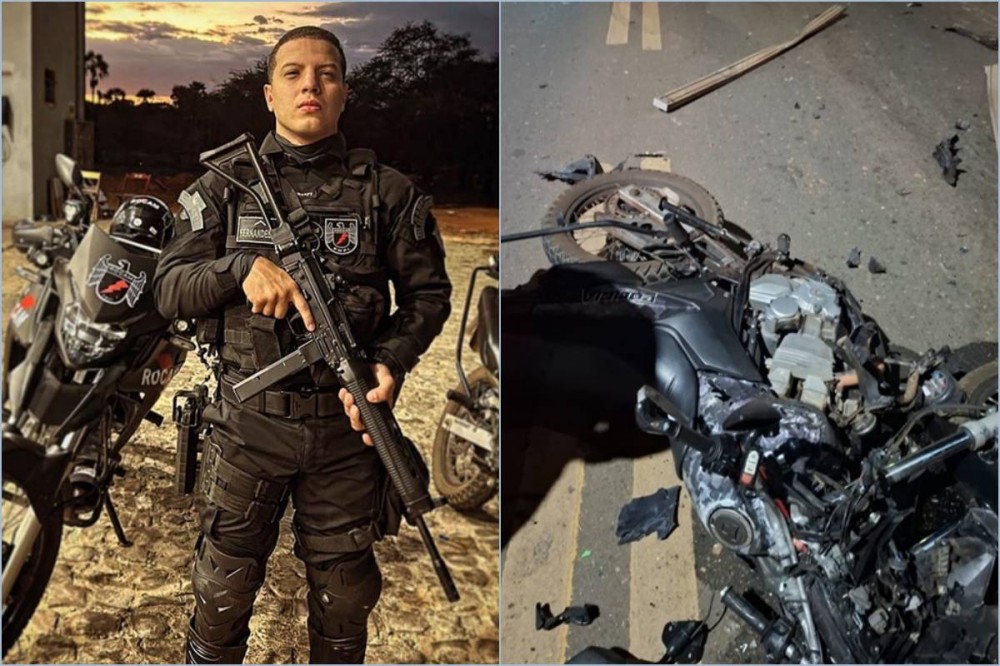 Crédito da imagem: reprodução