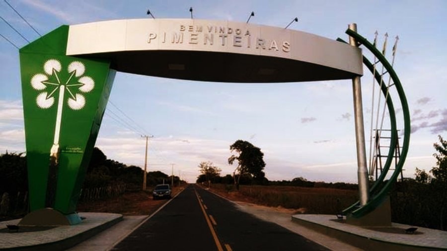 Entrada de Pimenteiras. (Foto: reprodução)