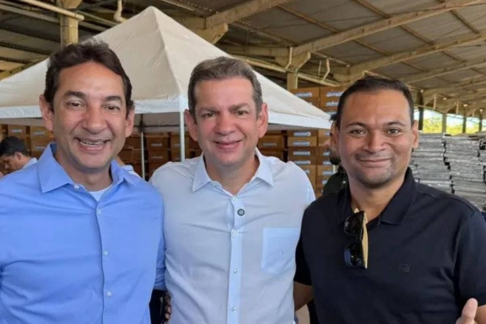 Crédito da imagem: divulgação