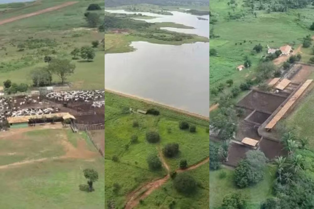 Fazenda de 176 mil hectares vai à venda por R$ 1,2 bilhões no Piauí — Foto: Reprodução (Imobiliária Agro Fazendas Belo)