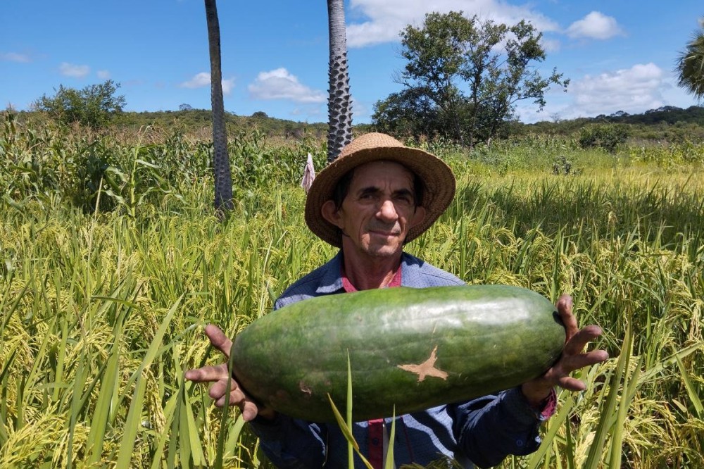 Créditos da imagem: José Maurício/Sambito News