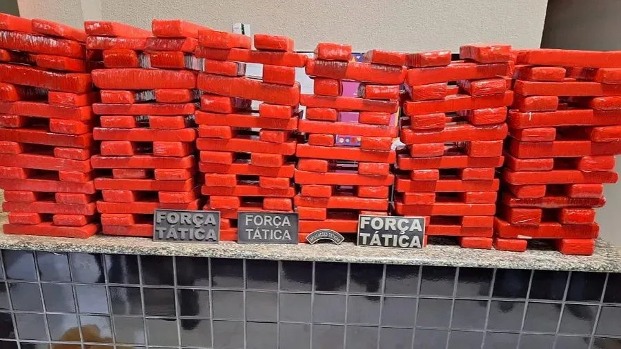 Crédito da imagem: Divulgação/Força Tática