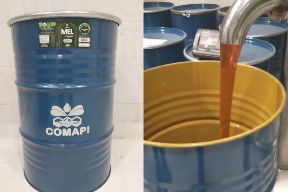 Dois tonéis de mel de 300 kg cada foram vendidos ao Japão (Foto: Comapi)