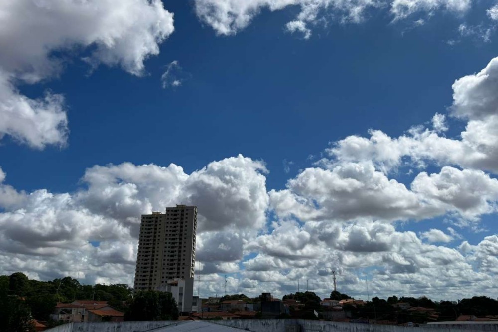 Foto: Izabella Lima / cidadeverde.com 