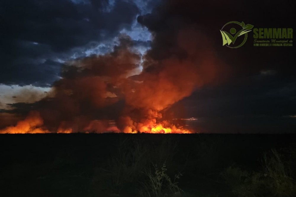 Crédito: divulgação/Brigada de Incêndios de Pimenteiras