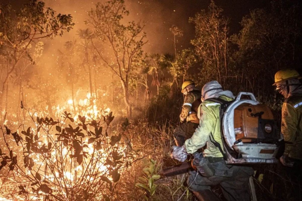 Piauí registra 122 mil focos de incêndio entre 2013 e 2024. (Foto: Reprodução/ Agência Brasil)